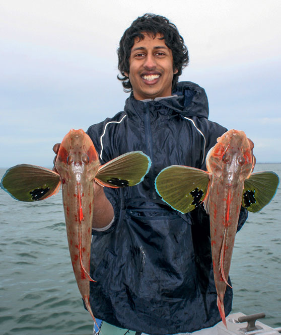 Fishing spots and tips for the Manukau Harbour The Fishing site