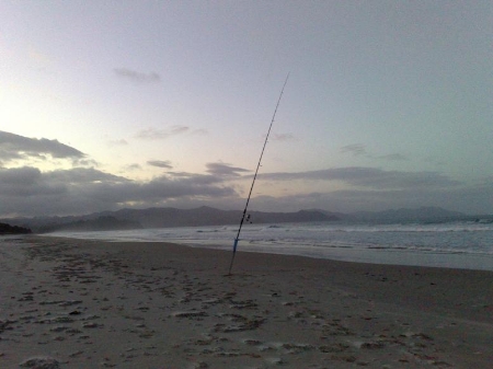 The Sands and Rocks of Matarangi - The Fishing Website : Discussion Forums