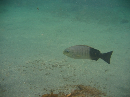 Spot X..Photos - The Fishing Website : Discussion Forums