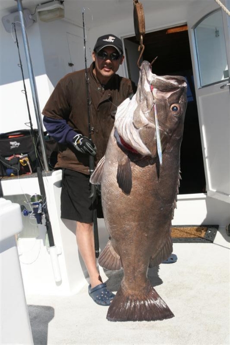 JigStar Rods - The Fishing Website : Discussion Forums - Page 1