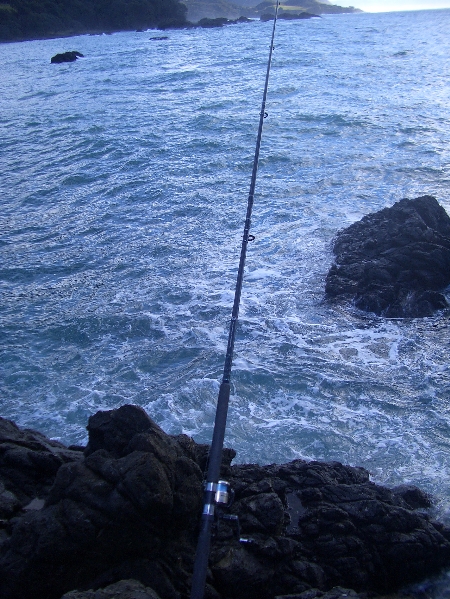 Lottin Point - The Fishing Website : Discussion Forums