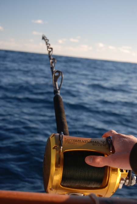 Sword - The Fishing Website : Discussion Forums