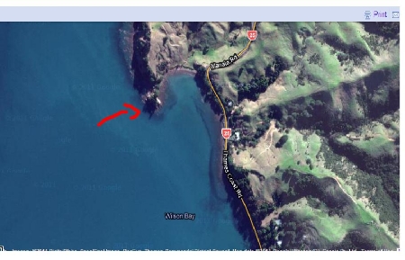 Advice needed - trying Wilson Bay - The Fishing Website : Discussion Forums