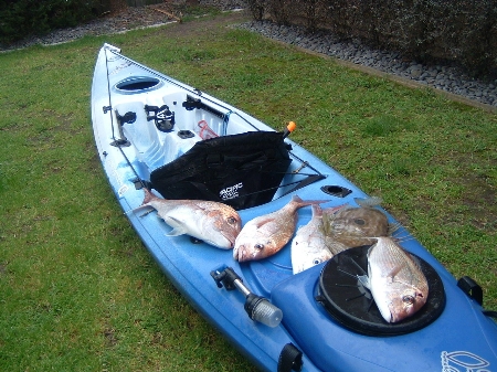 Kayak Fish storage strategies - The Fishing Website : Discussion Forums ...