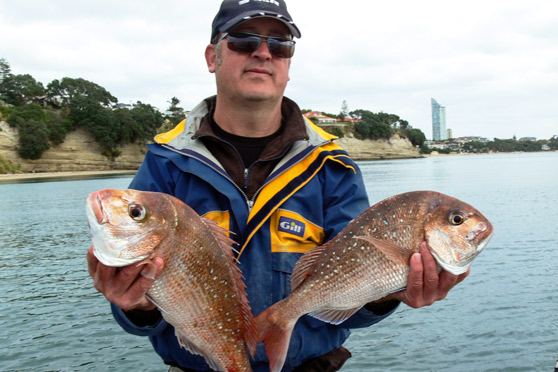 Fishing on Auckland's North Shore - The Fishing Website