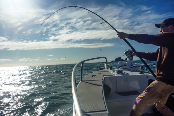 my first fishing rod