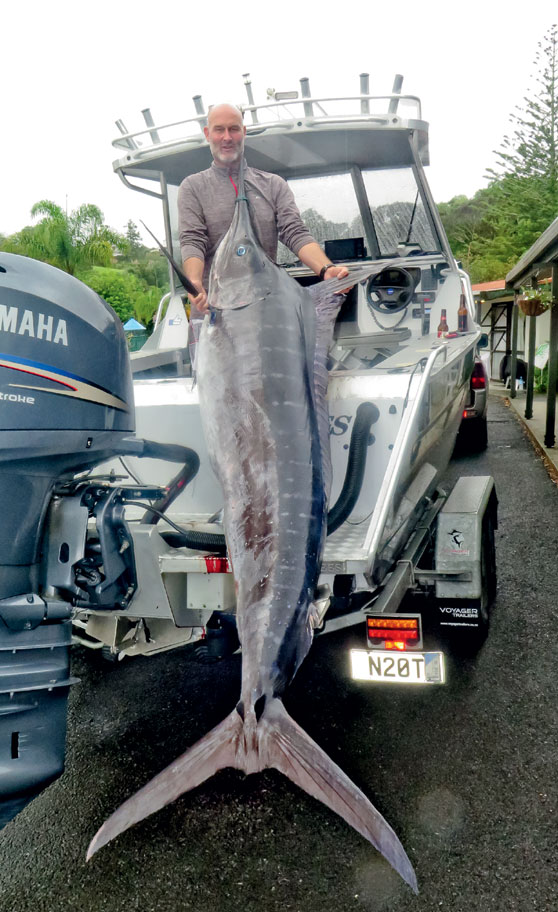 Spearfishing marlin The Fishing site