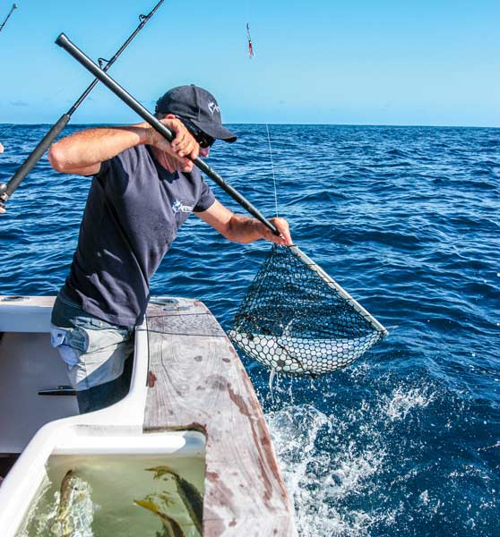 Netting or gaffing your catch (Part 1) The Fishing site