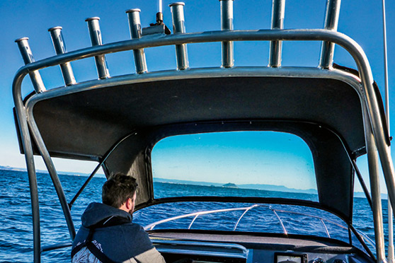 The helm position is sheltered by a removable, fold-down canopy with a clear panel to allow forward visibility for the helmsman.