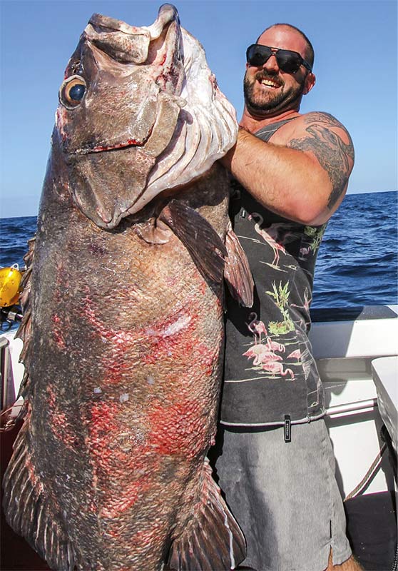 How to catch bluenose and bass The Fishing Website