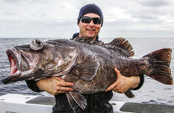 How to catch bluenose and bass The Fishing Website