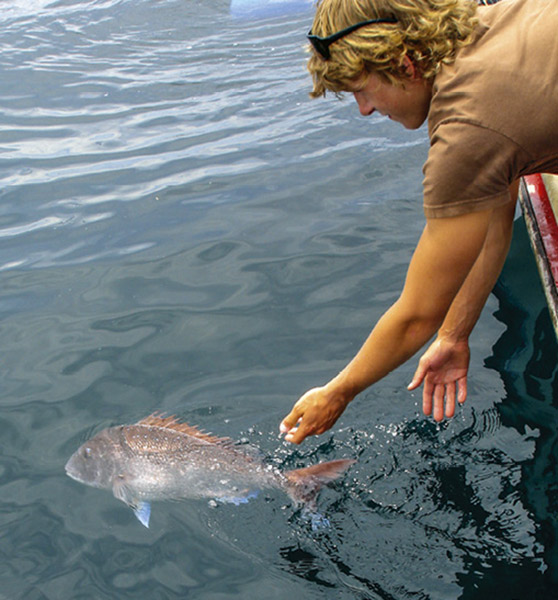 Techniques for releasing fish caught from deep water The Fishing site