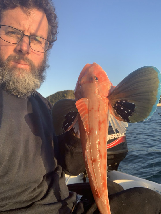 Wellington Fishing Report 020919 The Fishing site