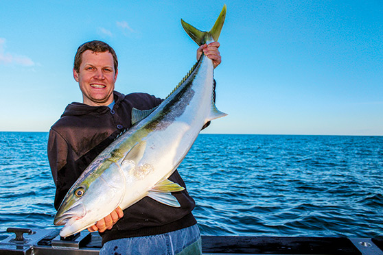 Wayne Thorburn with a typical fat spring kingfish, caught using a simple baited ledger rig.