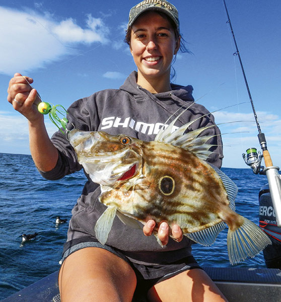 New Zealand Reef fish - The Fishing Website
