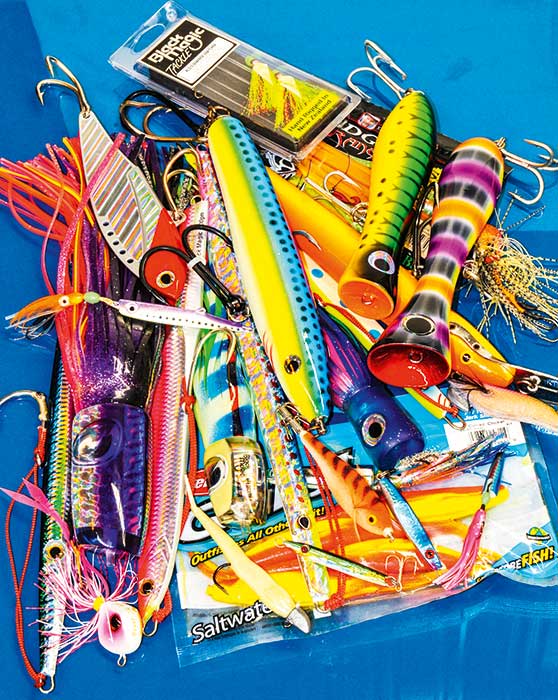 Do Fish Remember Lures? The Fishing site