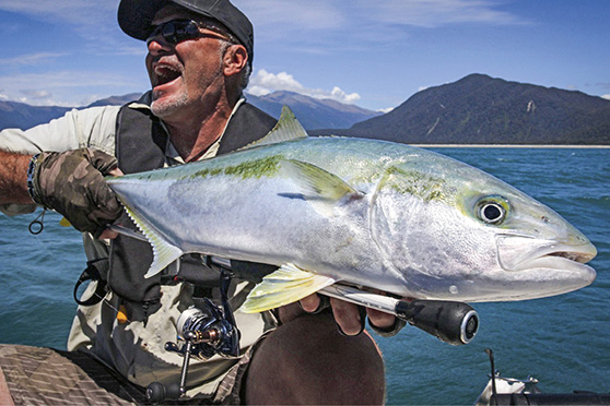 Haast kings are a real thing. Aaron Horrell had patience and just enough line on this 2kg spin outfit.