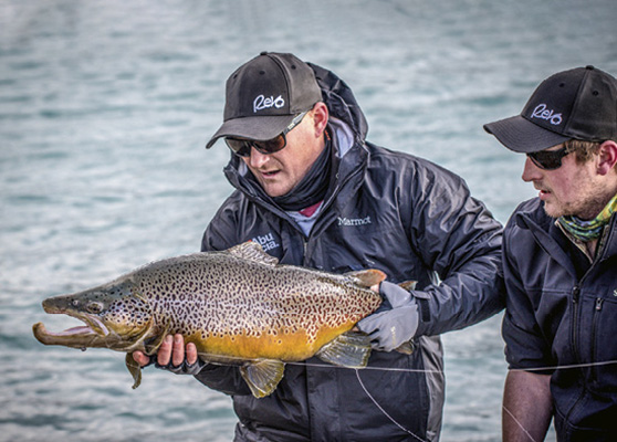 All fish have an amazing sense of smell, and trout are no exception. Hide your tracks by using softbaits with scents.