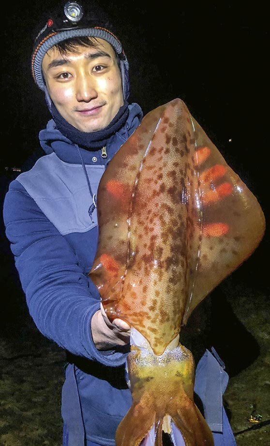 Jun broke his PB with a nice 1.3kg kraken. A serious string-puller that we initially thought was a bit kahawai.