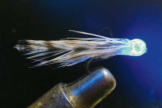 The smelt flies before UV paint was added.