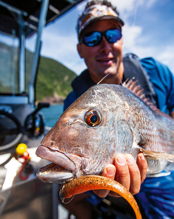 Using lures is an effective way to reduce attention from birds.