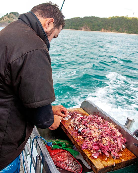 Chunking is an effective way to attract fish, but birds will often be close behind.
