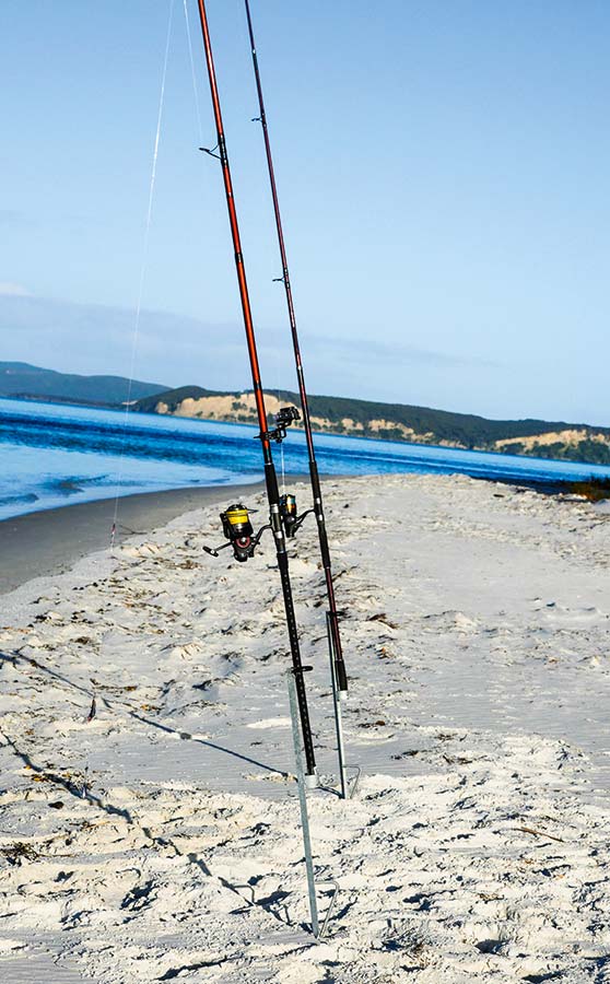 How to Choose the Right Rod Holders The Fishing site