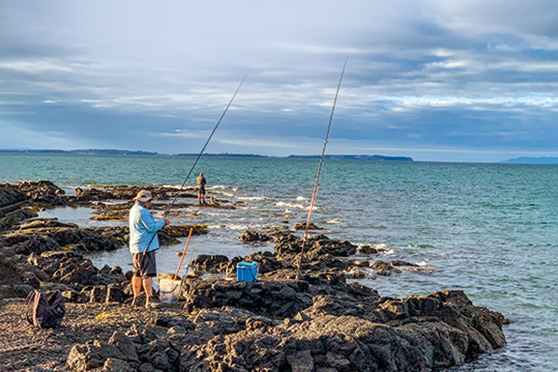 The writer's local stretch of coast sees plenty of angling pressure.