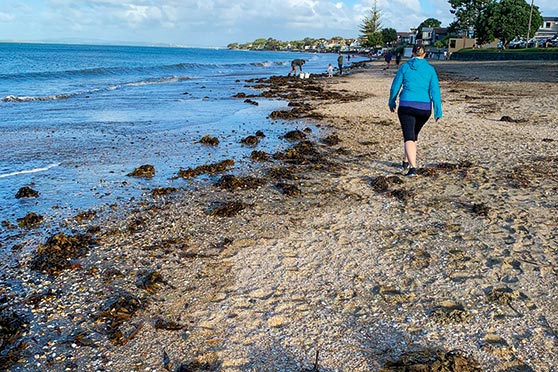 Kelp still washes up on the writer's local beaches after a decent blow.