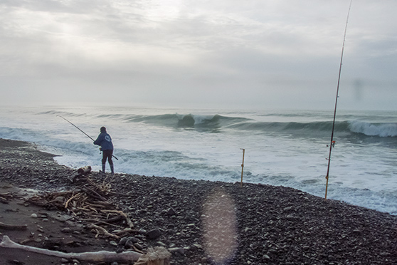 As the light strengthens the bite begins at Mohaka Beach.