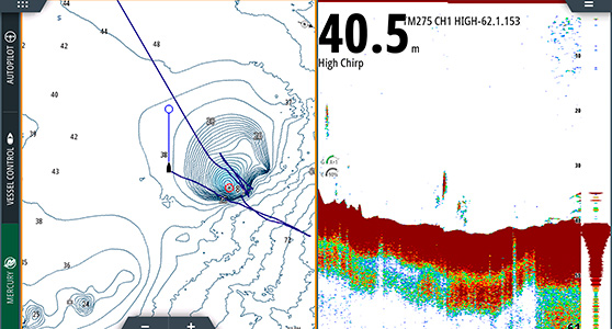 The sounder shows a typical area to look for when searching for snapper in deeper water.
