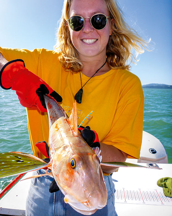 Inshore fish like gurnard need more research. The new 'citizen science' tagging program will help this.