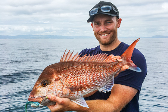Ben Francis took a break from the West Coast, catching this well-conditioned snapper out of Mangawhai.