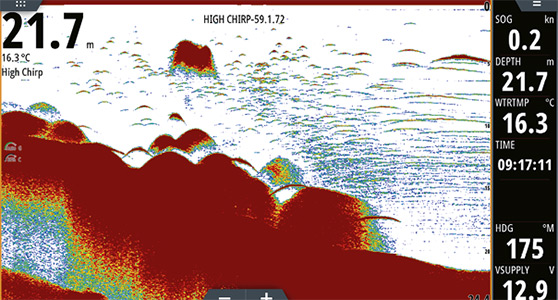 Classic arches usually mean good fish, and you can see there are small baitfish on the screen as well.
