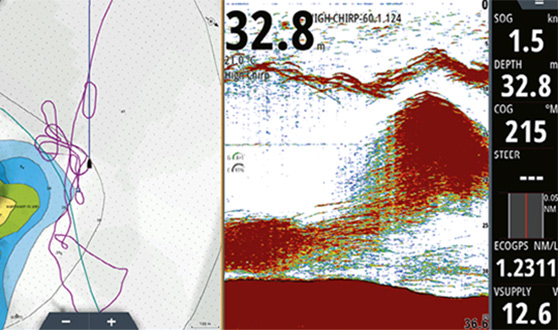 Baitfish being chased by kahawai and kingfish.