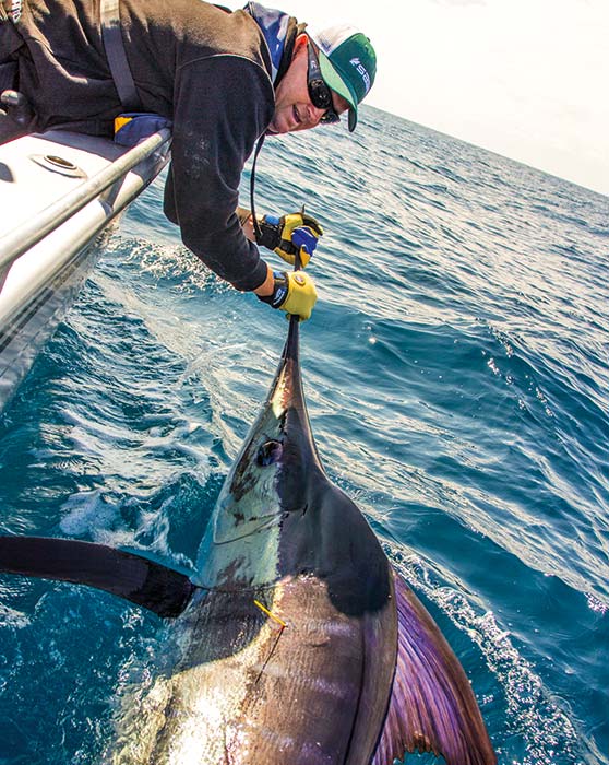 The writer's special stripey, tagged, measured and about to be released.