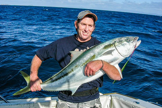 Kingfish caught on lures are nearly always lip-hooked.