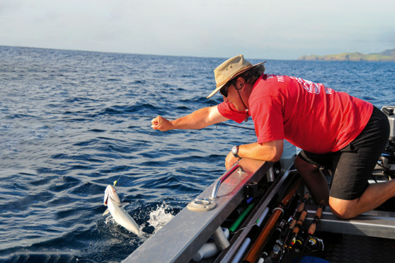Kahawai are a commonly caught recreational species, but no research has been done on their release mortality.