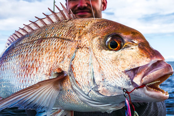 Micro-jigs can be deadly on deep water snapper for patient anglers.