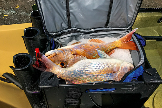 The writer has no problem keeping a few fish for the table.