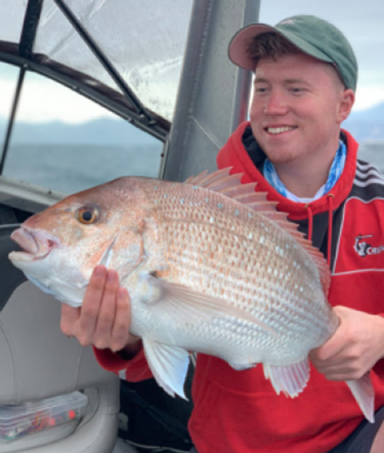 Fishing Tasman Bay The Fishing site