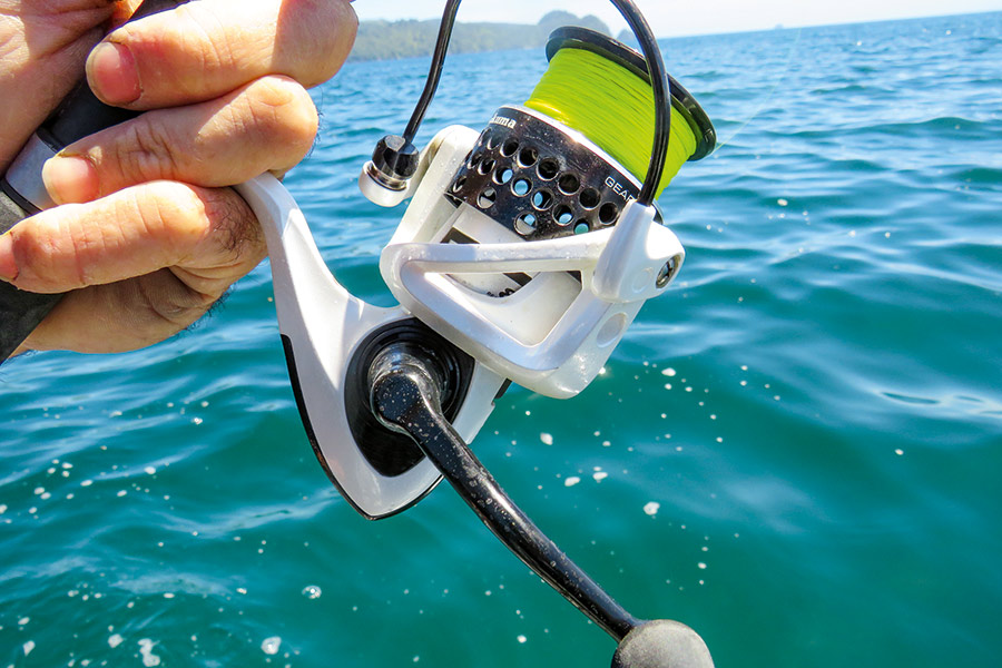 The 20lb Hunt Part 3 SoftBait Edition The Fishing site