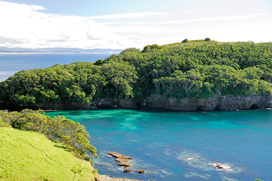 Te Hawere-a-Maki (Goat Island) is a fantastic place to see big snapper cruising in the shallows. 