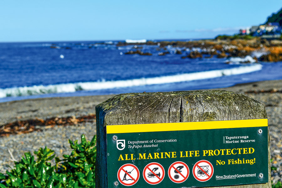 A Guide to NZ Marine Protected Areas The Fishing site