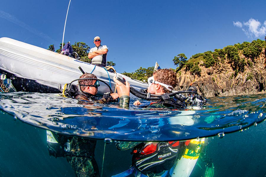 While you can't fish in marine reserves, they can provide some of the best diving in NZ.