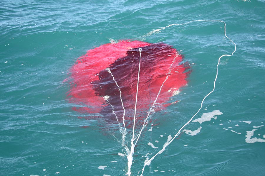 There is no substitute for a decent sea anchor when drifting.