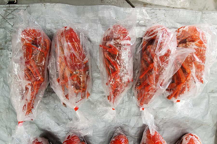 Illegal hauls, despite being frozen, will be sometimes returned into the ecosystem in a controlled manner.