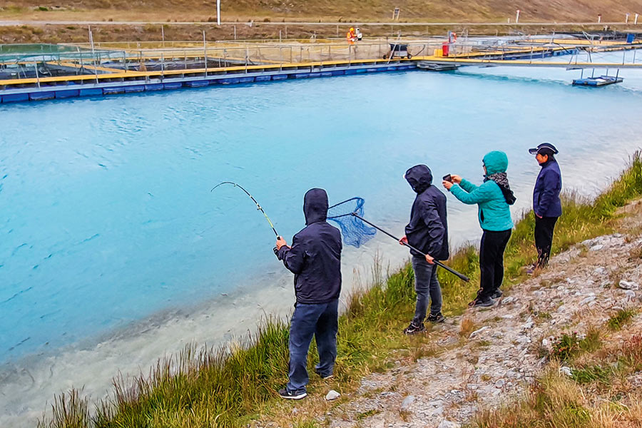 Eight Tips for Canal Fishing The Fishing site