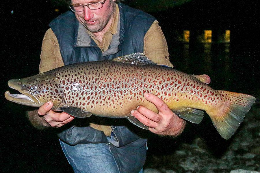 Eight Tips for Canal Fishing The Fishing site