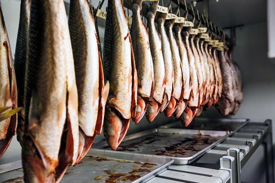 Five Top Trends in NZ Seafood Cuisine The Fishing site